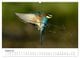 Thumbnail-9