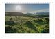 Thumbnail-13