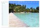 Thumbnail-11