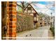 Thumbnail-8