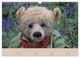 Thumbnail-8