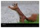 Thumbnail-9