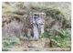 Thumbnail-8