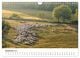 Thumbnail-14