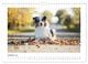Thumbnail-12