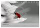 Thumbnail-14