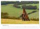 Thumbnail-14