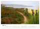 Thumbnail-10