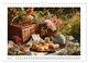 Thumbnail-8