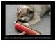 Thumbnail-12
