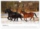 Thumbnail-14