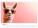 Thumbnail-12