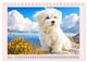 Thumbnail-9