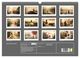 Thumbnail-7