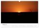 Thumbnail-10
