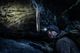 Thumbnail-11