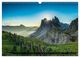 Thumbnail-14