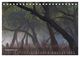 Thumbnail-14