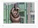 Thumbnail-11