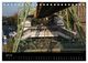 Thumbnail-12