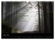 Thumbnail-9