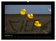 Thumbnail-13