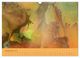 Thumbnail-14