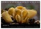 Thumbnail-14