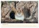 Thumbnail-13