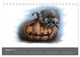 Thumbnail-12