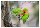 Thumbnail-8