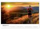 Thumbnail-14