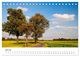 Thumbnail-9