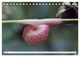 Thumbnail-12