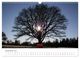 Thumbnail-14