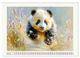 Thumbnail-7