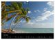 Thumbnail-8