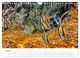 Thumbnail-9