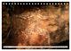 Thumbnail-8