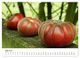Thumbnail-10