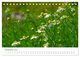 Thumbnail-14