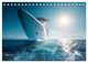 Thumbnail-7