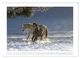 Thumbnail-14