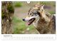 Thumbnail-11