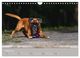 Thumbnail-10