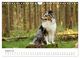 Thumbnail-13