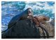 Thumbnail-12