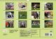 Thumbnail-10