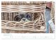 Thumbnail-14