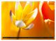 Thumbnail-14